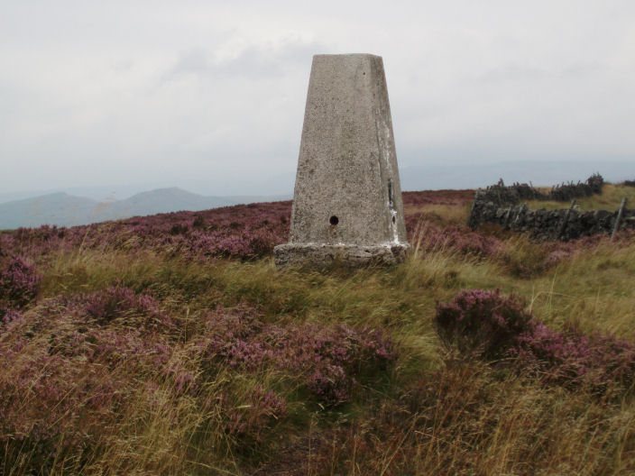 Combs Moss trig Combs Moss trig